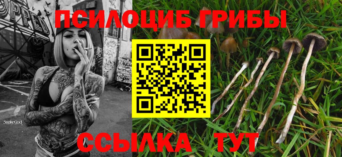 Назрань  Галлюциногенные грибы GOLDEN TEACHER  Вход с VPN 