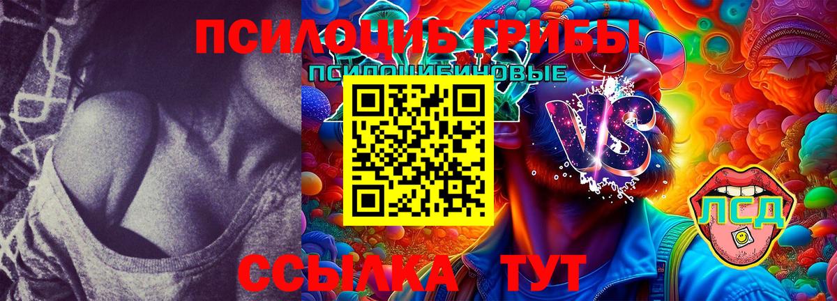 Псилоцибиновые грибы Magic Shrooms Назрань